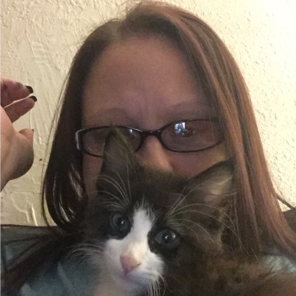 Meet your Posher, Katherine